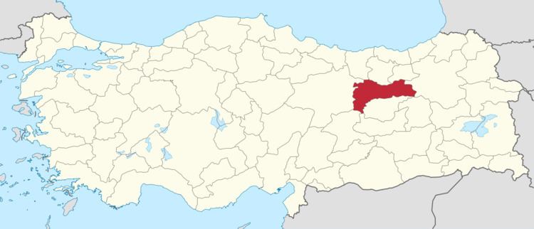 Erzincan (electoral district)