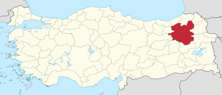 Erzurum (electoral district)