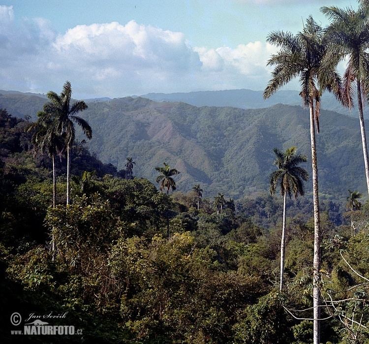 Escambray Mountains Escambray mountains Pictures Escambray mountains Images NaturePhoto