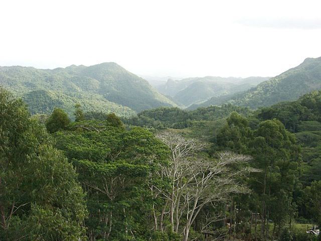 Escambray Mountains httpsuploadwikimediaorgwikipediacommons88