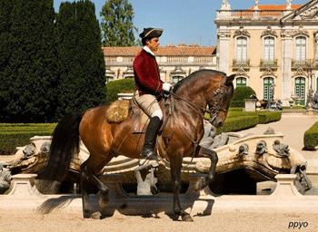 Escola Portuguesa de Arte Equestre Escola Portuguesa de Arte Equestre nos Jardins do Palcio de Queluz