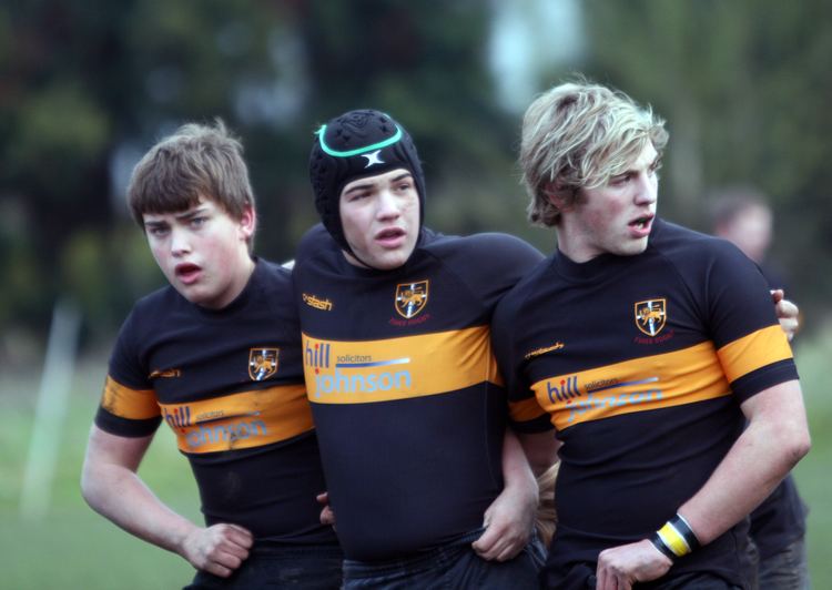 Esher RFC Juniors Esher Rugby Club Official Website