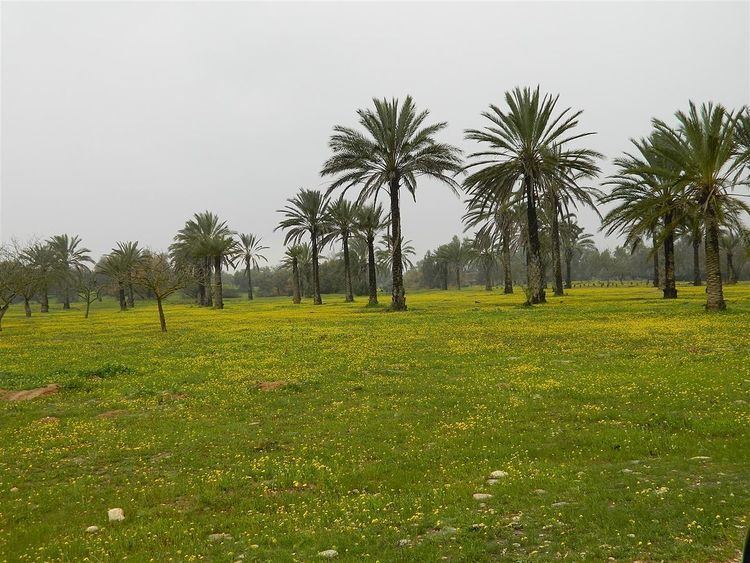 Eshkol National Park