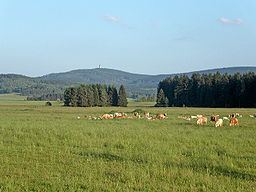 Český les Protected Landscape Area httpsuploadwikimediaorgwikipediacommonsthu