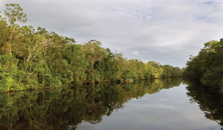 Esk River (New South Wales) wwwnationalparksnswgovaumedia3406FB3FA1BD4