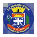 Esporte Clube Paraguaçuense httpsuploadwikimediaorgwikipediapt223EC