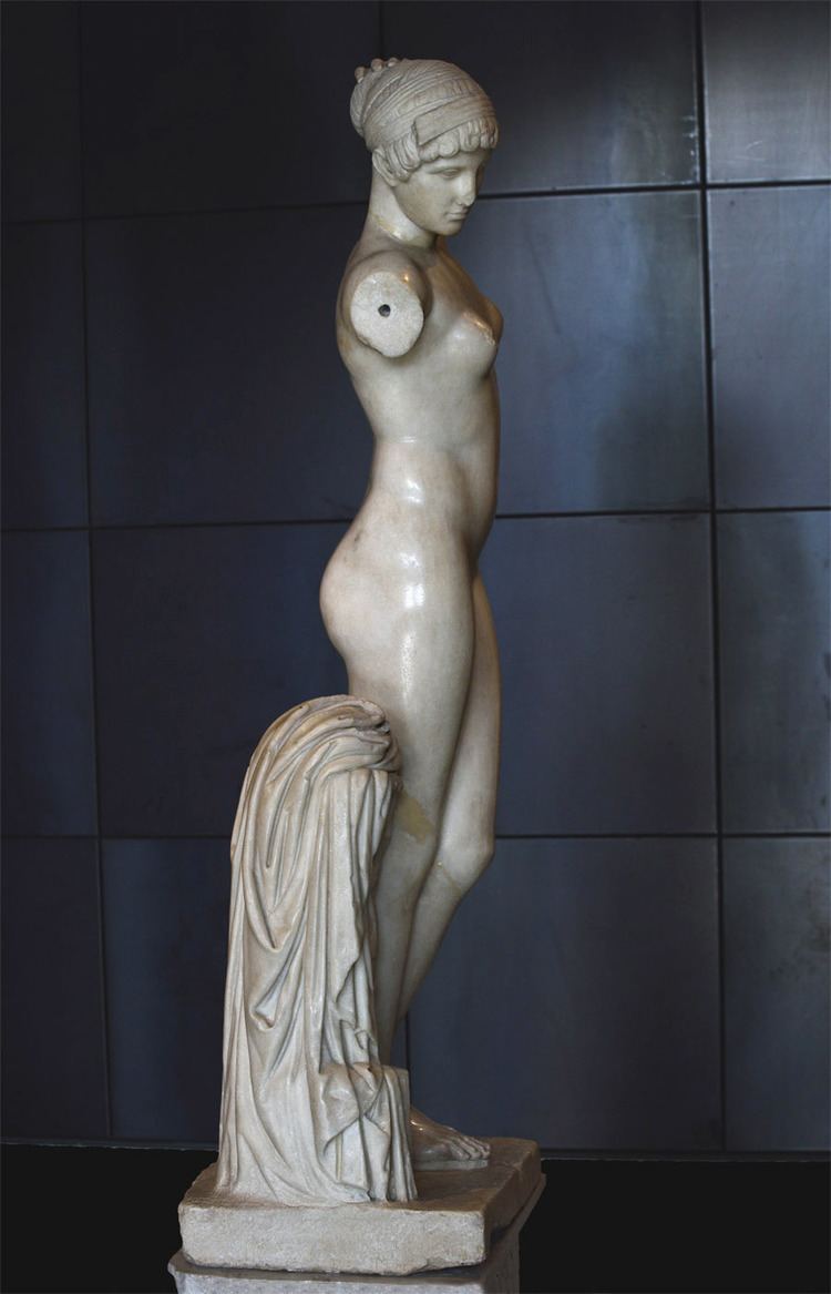 Esquiline Venus Esquiline Venus Rome Capitoline Museums Palazzo Nuovo Musei