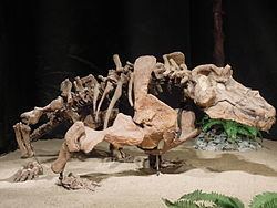 Estemmenosuchus httpsuploadwikimediaorgwikipediacommonsthu