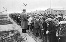 Esterwegen concentration camp httpsuploadwikimediaorgwikipediacommonsthu