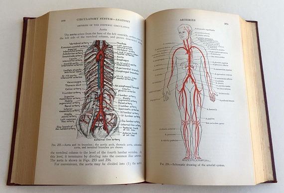 Esther Greisheimer Physiology and Anatomy by Esther Greisheimer Third Edition