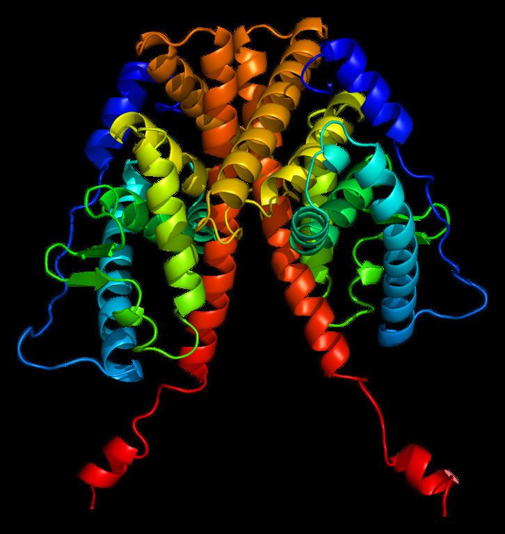 Estrogen receptor alpha