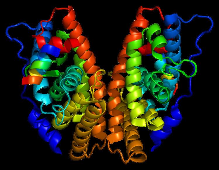 Estrogen-related receptor gamma