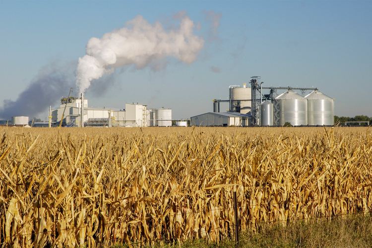 Ethanol Ethanol In Fuel Has Some Downsides According To Latest Studies