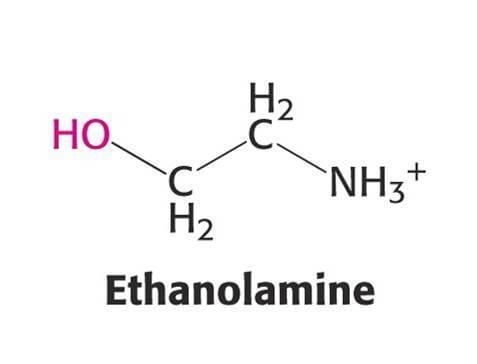 Ethanolamine ethanolamine Gallery
