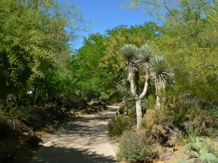 Ethel M Botanical Cactus Garden FileEthel M Botanical Cactus Garden 3jpg Wikimedia Commons