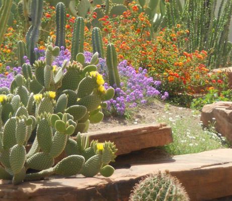 Ethel M Botanical Cactus Garden Botanical Cactus Garden Visiting the Factory Ethel M