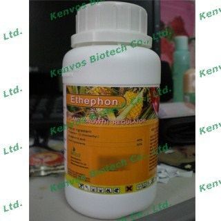 Ethephon Ethephon 48 SL Manufacturer in China Kenvos Biotech Co Ltd