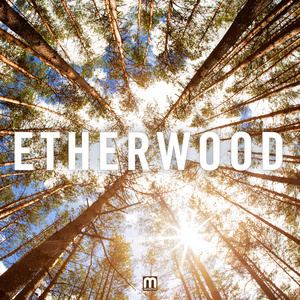 Etherwood Hospital Records Shop Etherwood Blue Leaves