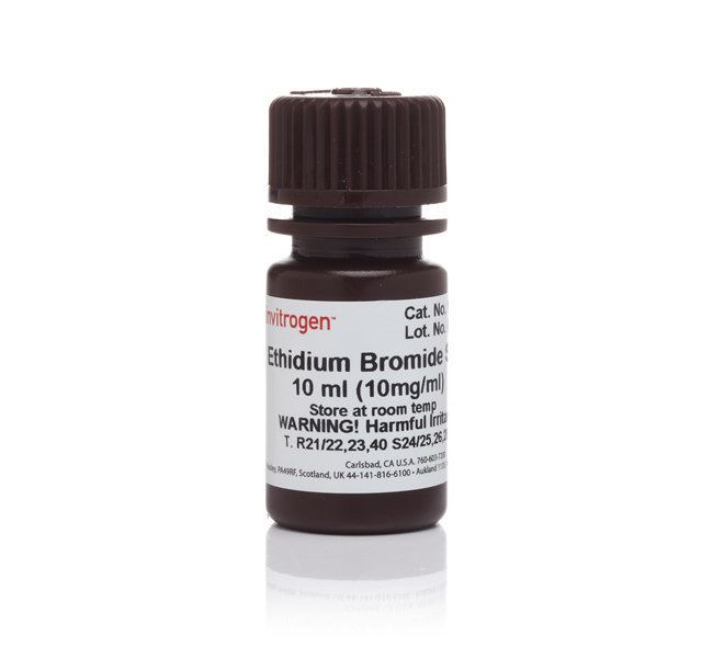 Ethidium bromide UltraPure Ethidium Bromide 10 mgmL Thermo Fisher Scientific
