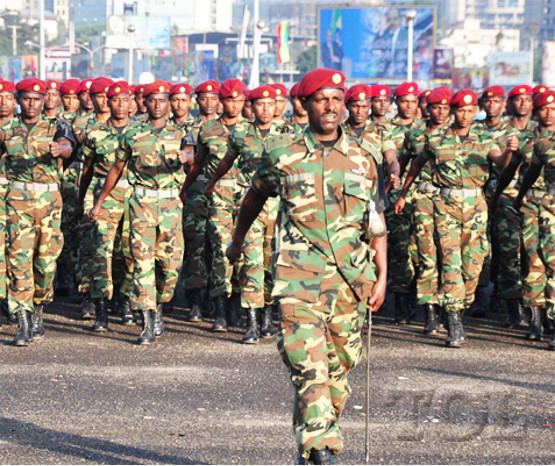 Ethiopian National Defense Force Ethiopian Defense Force Efficiency for less