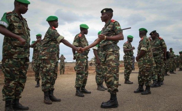 Ethiopian National Defense Force Ethiopian National Defense Force Efficiency for Less allAfricacom