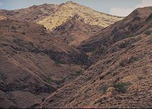 Ethiopian xeric grasslands and shrublands httpsuploadwikimediaorgwikipediacommonsthu