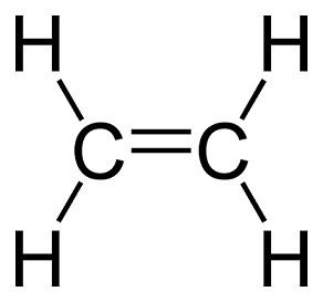 Ethylene studycomcimagesmultimages16Ethylene2Dpng