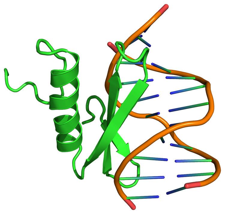 Ethylene-responsive element binding protein