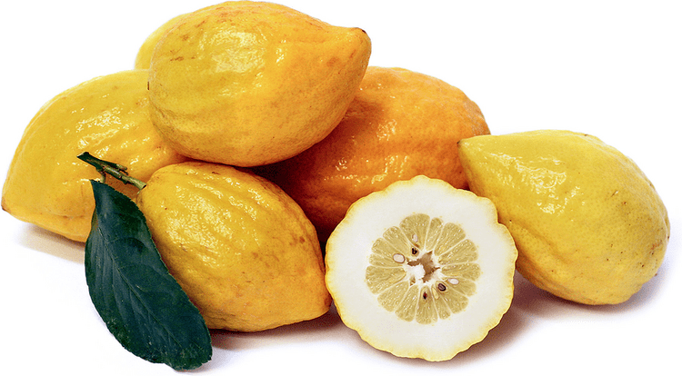 Etrog Etrog Citron Information Recipes and Facts