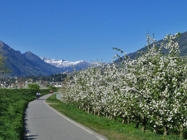 Etschtal Val d39Adige cycling track Bolzano Merano South Tyrol Alto