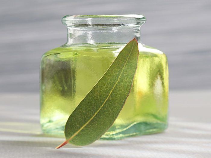 Eucalyptus oil 15 Best Benefits of Eucalyptus Essential Oil Organic Facts