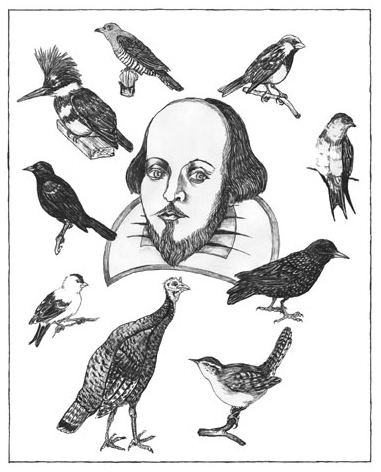 Eugene Schieffelin Eugene Schieffelin William Shakespeare and Starlings in the USA