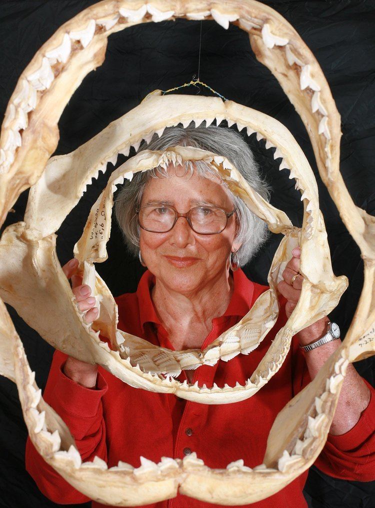 Eugenie Clark Obituary Eugenie Clark 39Shark Lady39 dies at 92 LA Times