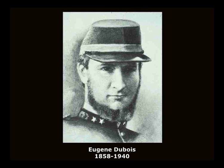 Eugène Dubois Eugne Dubois Scientist of the Day Linda Hall Library