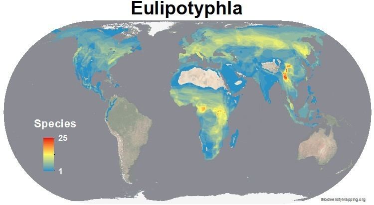 Eulipotyphla Mapping the World39s Mammal Diversity