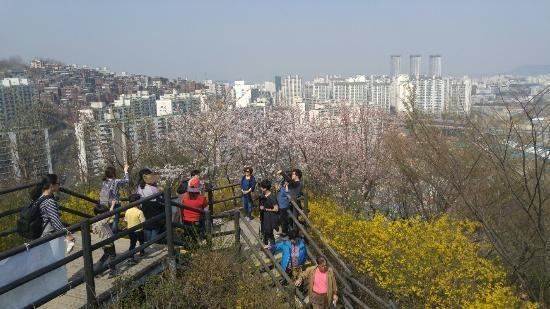 Eungbongsan (Seoul) httpsmediacdntripadvisorcommediaphotos0a