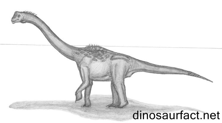 Europasaurus Europasaurus dinosaur