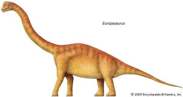 Europasaurus httpsmedia1britannicacomebmedia521288520