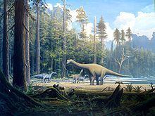 Europasaurus Europasaurus Wikipedia
