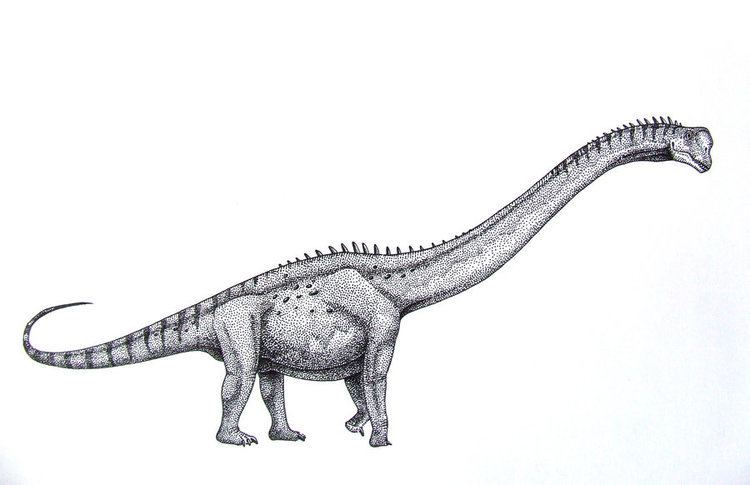 Europasaurus europasaurus DeviantArt