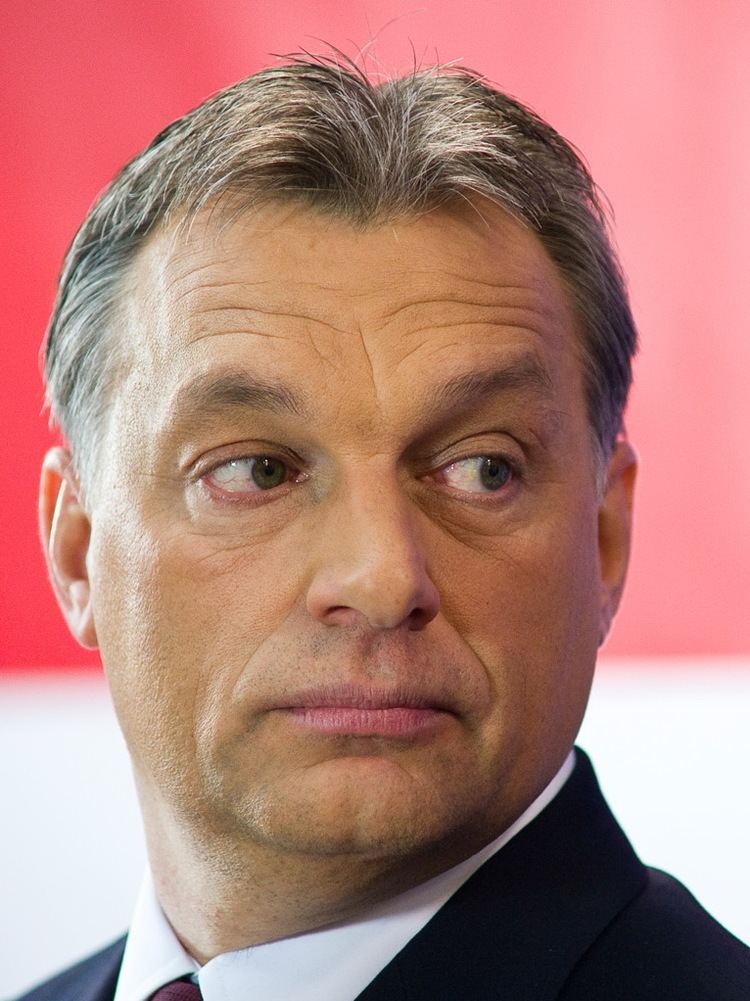 European Parliament election, 2014 (Hungary)