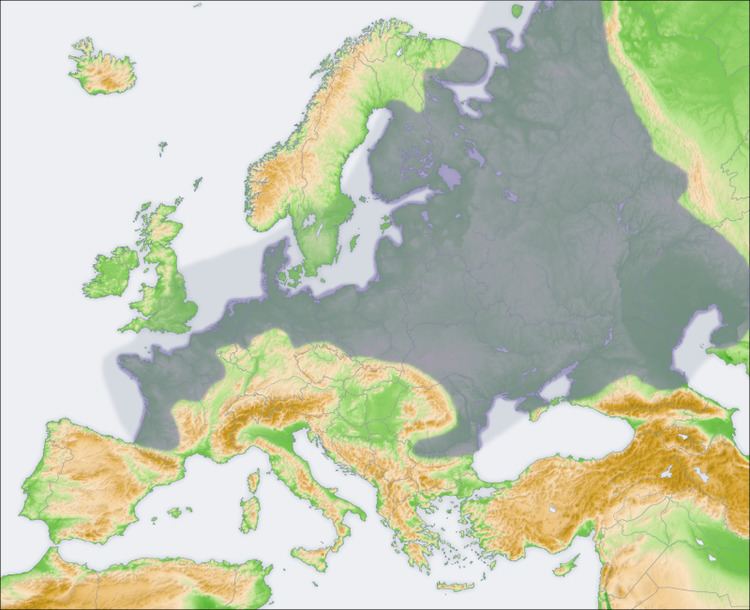 European Plain European Plain Wikipedia