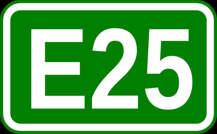 European route E25