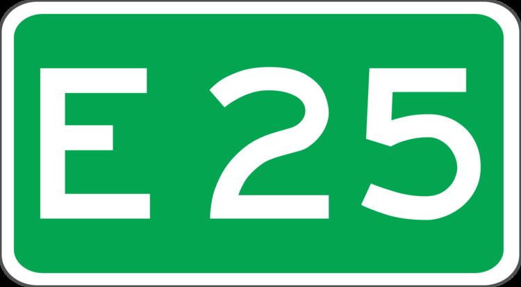 European route E25 in the Netherlands