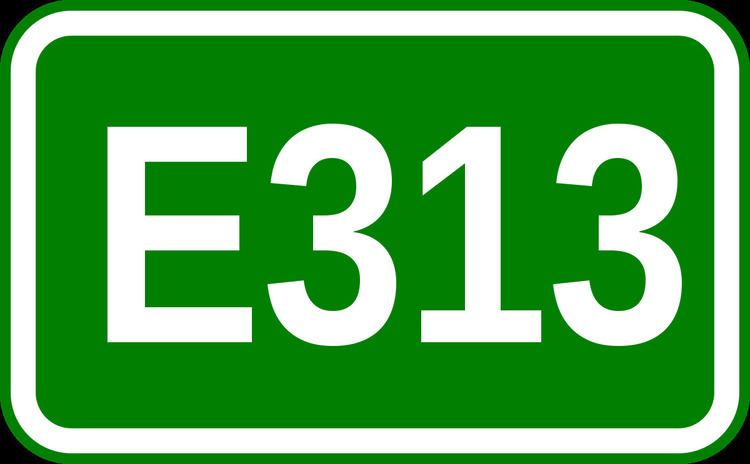 European route E313