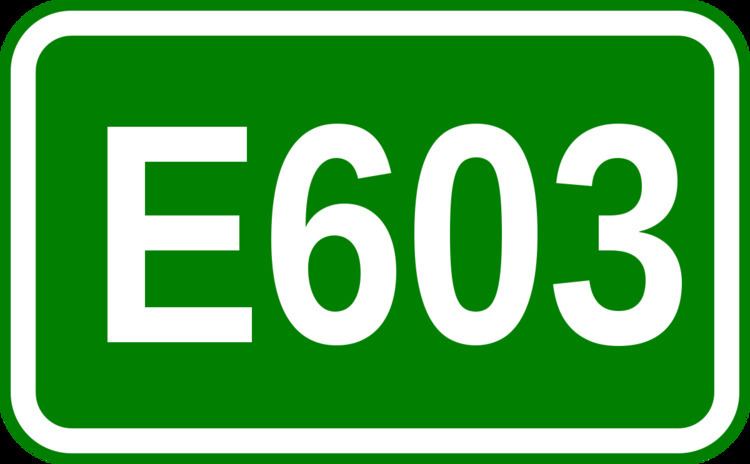 European route E603