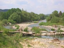 Eurotas (river) httpsuploadwikimediaorgwikipediacommonsthu