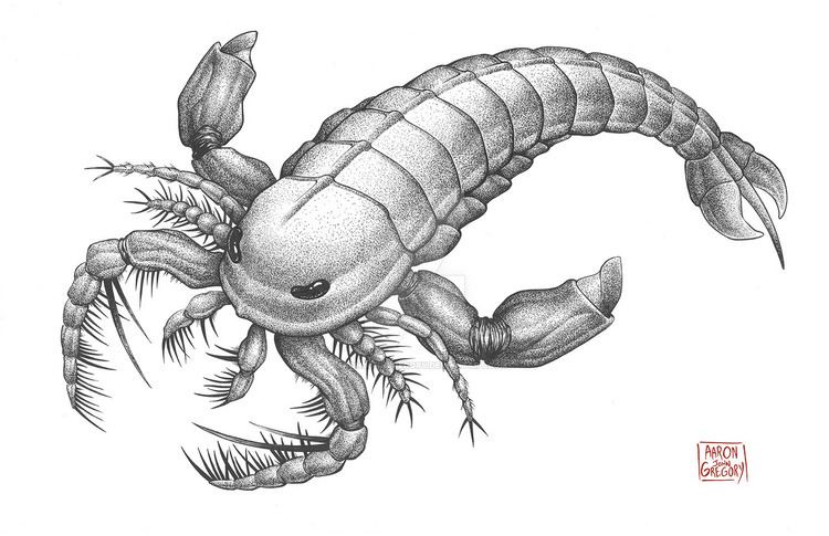 Eurypterid eurypterid DeviantArt