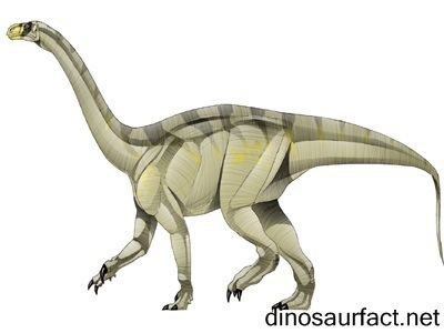 Euskelosaurus wwwdinosaurfactnetPicturesEuskelosaurus4jpg