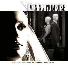 Evening Primrose (musical) httpsuploadwikimediaorgwikipediaenthumb9